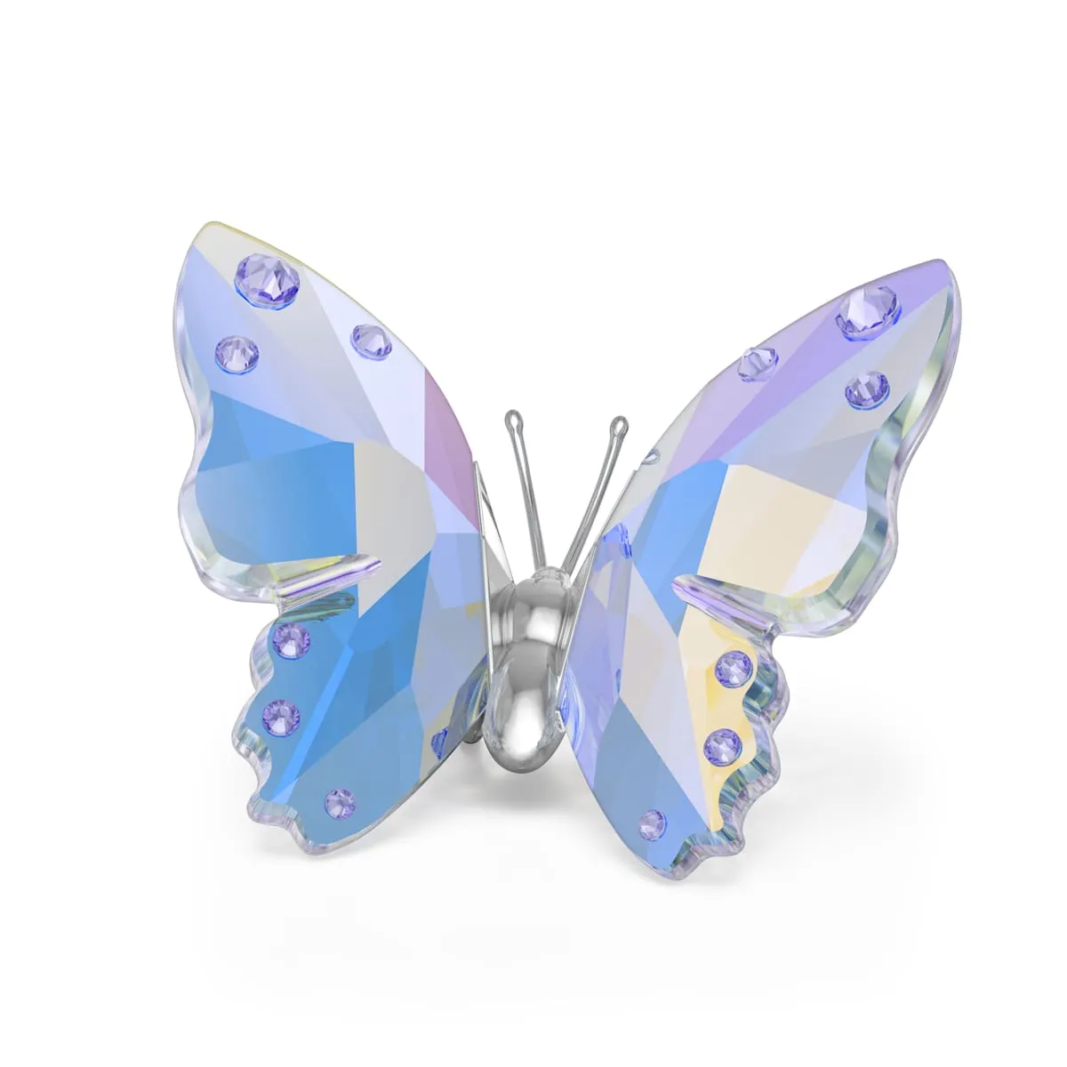 Swarovski 2026 Capsule Schmetterling 5750818