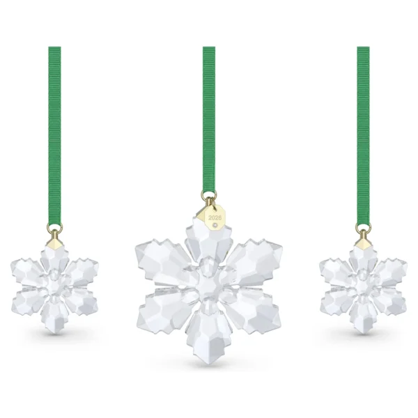 Swarovski Jahresausgabe 2026 Sternen Set Klar 5732527