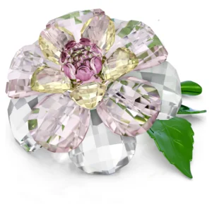 Swarovski Florere Kamelie 5721538