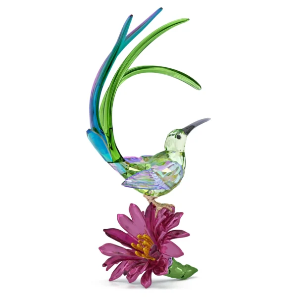 Swarovski Idyllia Honigfresser und Kaktusblume 5675166